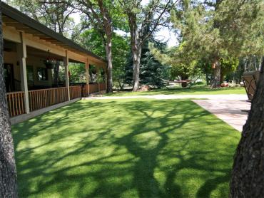 Artificial Grass Photos: Artificial Pet Turf Oak View California Lawns